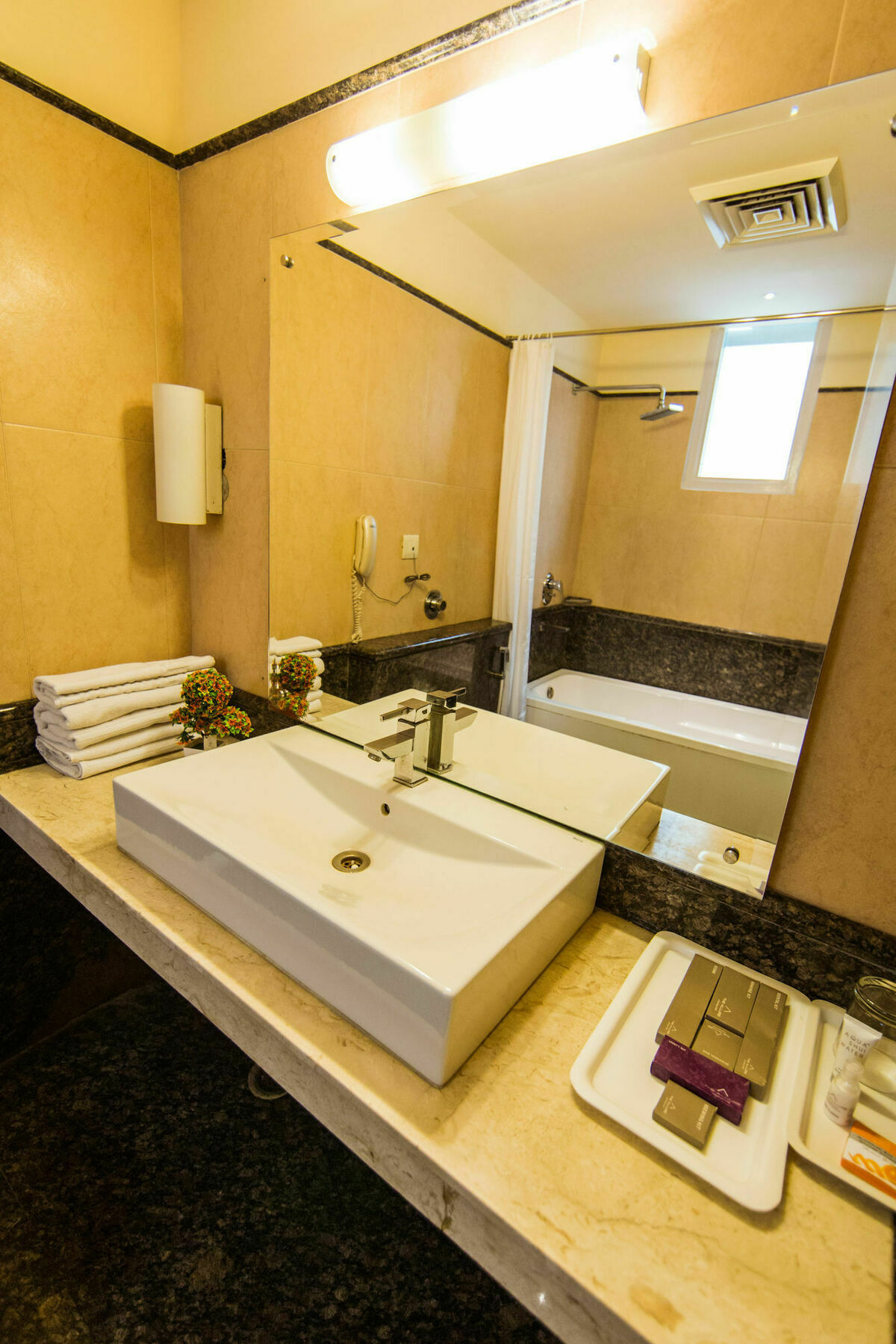 Clark International Hotel Delhi  Exterior photo